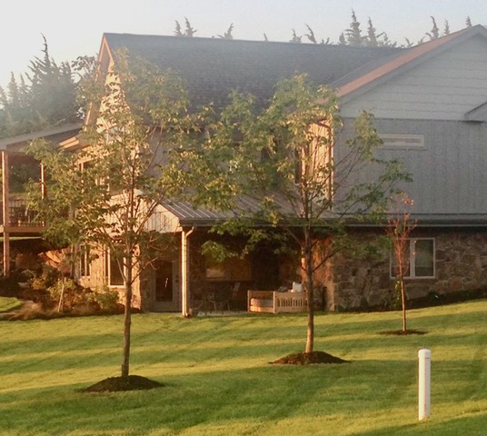 A large house with trees in the foreground.